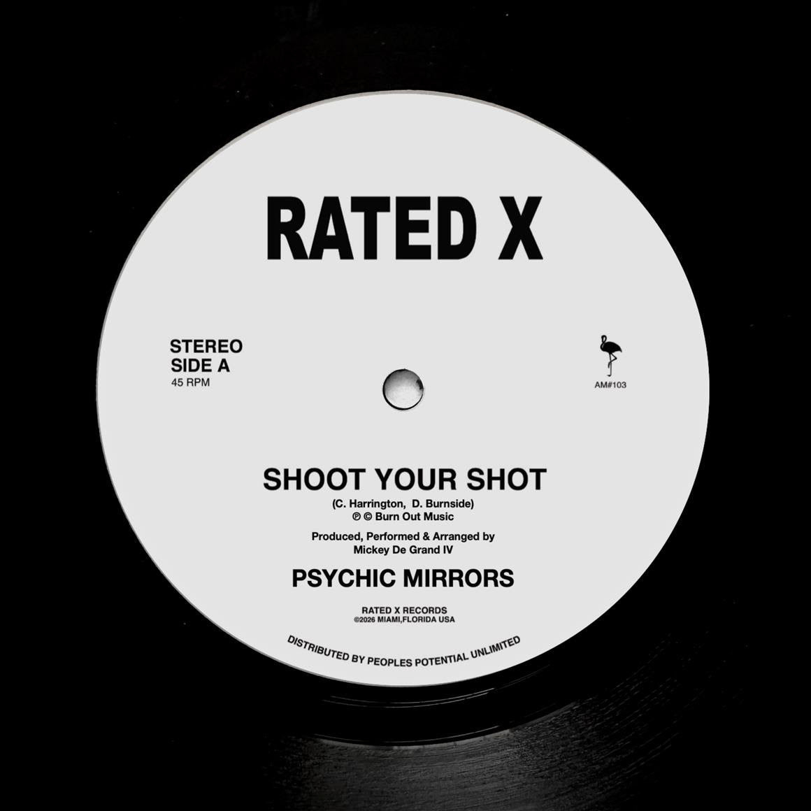 Psychic Mirrors - Shoot Your Shot