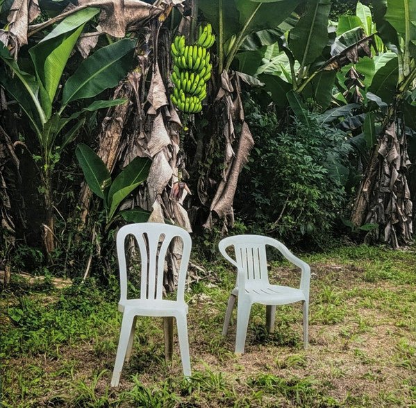 Bad Bunny - Debi Tirar Mas Fotos