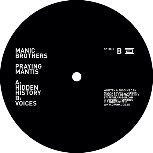 Praying Mantis