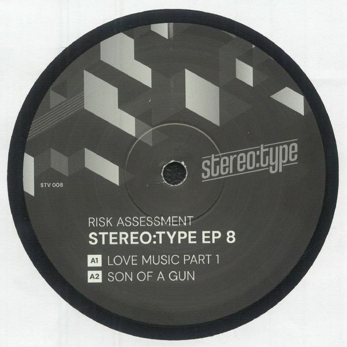 Risk Assessment - Stereo:type EP 8