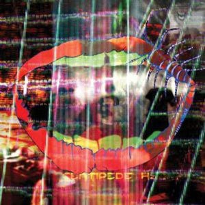 Animal Collective - Centipede Hz (CD)