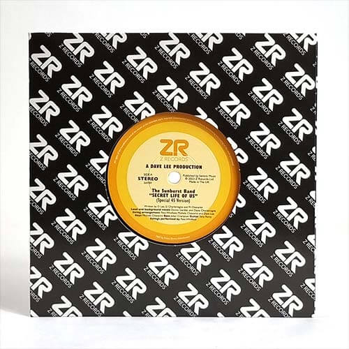 The Sunburst Band / Dave & Maurissa - Secret Life Of Us